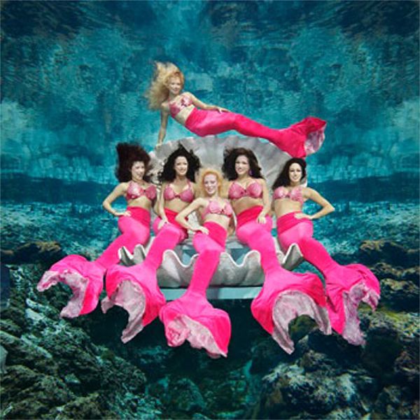 Weeki Wachee Mermaids